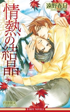 情熱の結晶（情熱シリーズ4）【イラスト入り】 [リブレ]