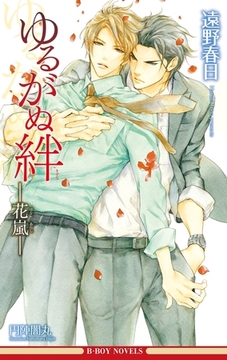 ゆるがぬ絆 −花嵐−（情熱シリーズ11）【イラスト入り】 [リブレ]