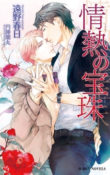 情熱の宝珠（情熱シリーズ14）【イラスト入り】 [リブレ]