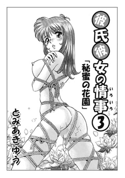 彼氏彼女の情事3 [メディアックス]