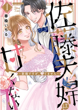 佐藤夫婦は甘くない～新婚ですが、シてません～ 1巻【電子版限定特典付き】 [大洋図書]