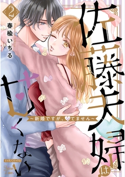 佐藤夫婦は甘くない～新婚ですが、シてません～ 2巻【電子版限定特典付き】 [大洋図書]