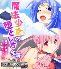 魔法少女の堕とし方全集 ～悪の組織に転身セックス～ 【CG集コレクション ミニ】