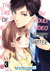 The Life of an Adult Video Script Writer 3 [wwwave_comics]