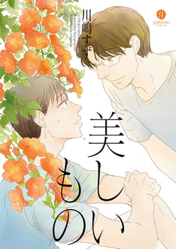 美しいもの [一迅社]