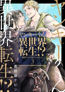 ヤンキーくん異世界転生！？―敵国王子に助けられました―3 [メディアソフト]