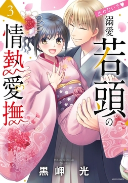 止めないで・溺愛若頭の情熱愛撫 3 [宙出版]