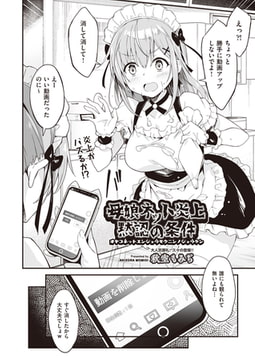 母娘ネット炎上黙認の条件 [ヒット出版社]