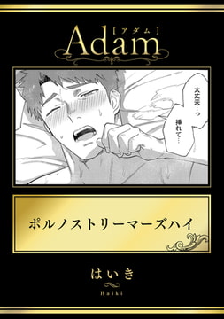 ポルノストリーマーズハイ [ブレインハウス]