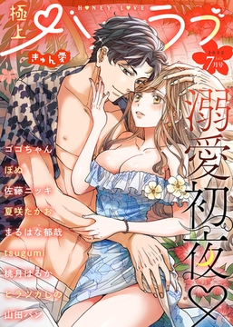 極上ハニラブ 2022年7月号【きゅん愛】 [KATTS]
