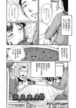 親の居ぬ間に凌○ [ヒット出版社]