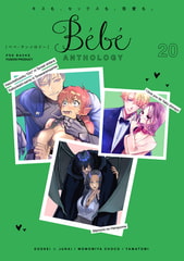 Bebe vol.20 [ふゅーじょんぷろだくと]