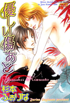 優しい傷あと [ジュネット]