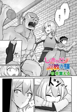 しあわせ調教体験 [文苑堂]