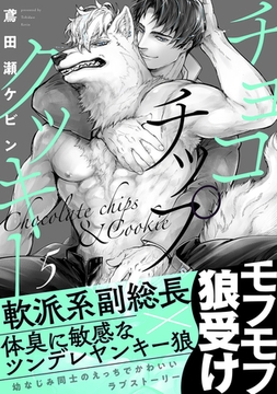 チョコチップクッキー(5) [ふゅーじょんぷろだくと]