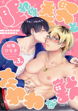 眠れぬ美男とたわわな獣（３） [新書館]