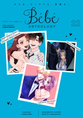 Bebe vol.22 [ふゅーじょんぷろだくと]