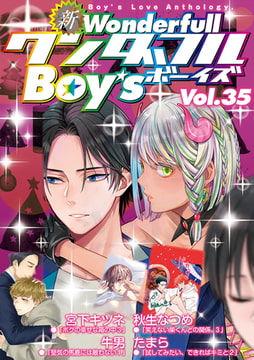 新・ワンダフルBoy's Vol.35 [光彩書房]