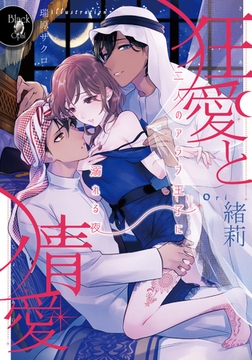 狂愛と情愛 二人のアラブ王子に溺れる夜 [プランタン出版]
