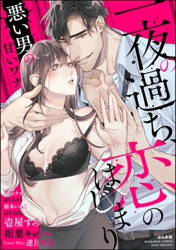 一夜の過ち、恋のはじまり ～悪い男の甘いワナ～ [ぶんか社]