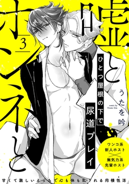 嘘とホンネと(3) [ふゅーじょんぷろだくと]