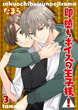 即落ちボイスの王子様!3 [光彩書房]