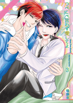 つべこべ言わず愛してよ3 [光彩書房]