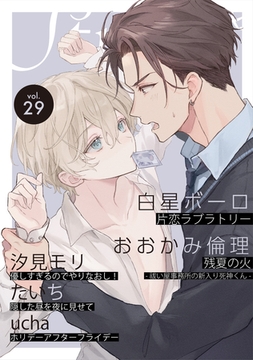 Strada＋ vol.29 [道玄坂書房]