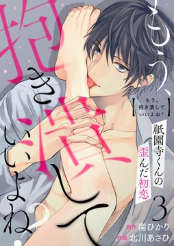 もう、抱き潰していいよね?祇園寺くんの歪んだ初恋3 [アイプロダクション]