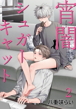 宵闇シュガーキャット 【短編】2 [竹書房]