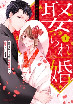 娶られ婚 嫌いな幼なじみと政略結婚のち溺愛されてます【かきおろし漫画付】　（1） [ぶんか社]