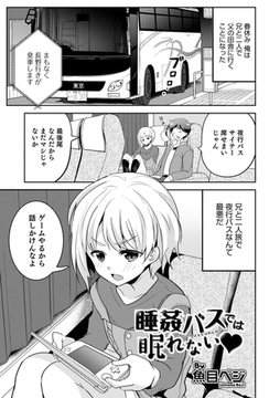 睡姦バスでは眠れない [メディアックス]