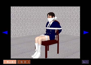 DID COLLECTION 1A [春美堂]