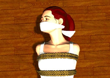 DIDセレクション3 [春美堂]