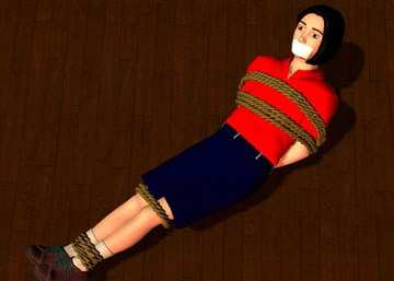 DIDセレクション4 [春美堂]