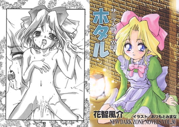 サ○ラ大戦2・異聞 ホタル [ダーク・ゾーン]