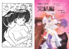 小説ら○ま1/2 完結編 -第2部 恋の成長（前編）-