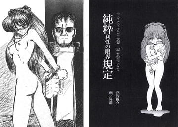 小説新世紀エ○ァンゲリオン 純粋利性の限界規定 [ダーク・ゾーン]