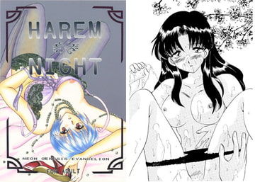 HAREM NIGHT [SUPER NOVA]