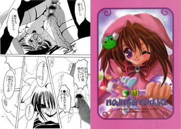 FLOWERS OF ROMANCE [オコサマZ]