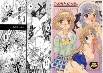 こおかんにっき。 [artifact]