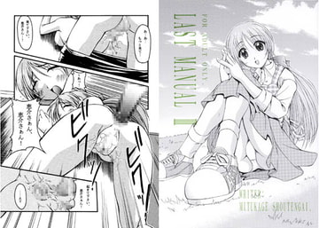 LAST MANUAL 3 [朝霞産業]