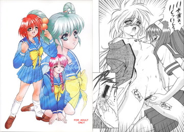 ときめきDiary [富士参號工房]