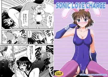SONIC LOVE CHARGE [ひじょうぐち]