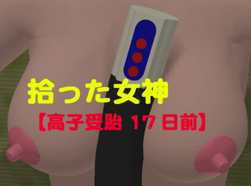 拾った女神【高子受胎17日前】 [みきやすハウス]