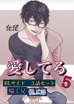 ただ、愛してる 5  BL 3セットボイス [新騎の4回戦目]