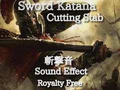 グシャ! 剣や刀の斬撃音 14  斬る/刺す/抜く [Sanctuary]