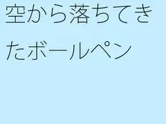 空から落ちてきたボールペン