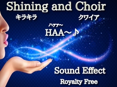 ☆シャキーン&クワイア☆効果音 09 [Sanctuary]