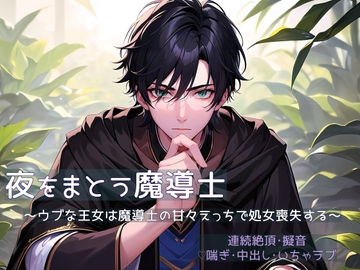 夜をまとう魔導士 ～ウブな王女は魔導士の甘々えっちで処女喪失する～ [桜結び]